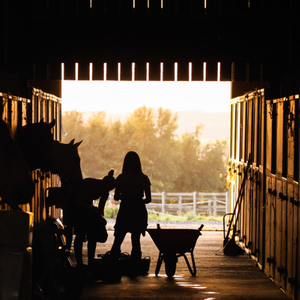 Ranch SuppliesA silhouette of a family working inside of a horse barn.