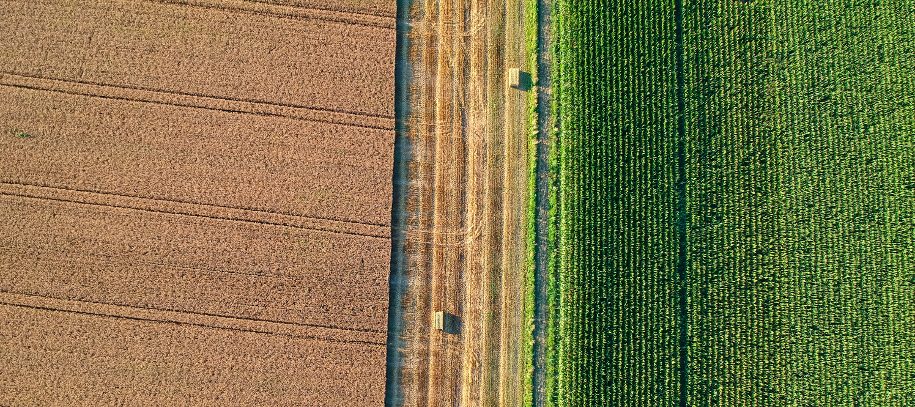 An arial view of a crop field.