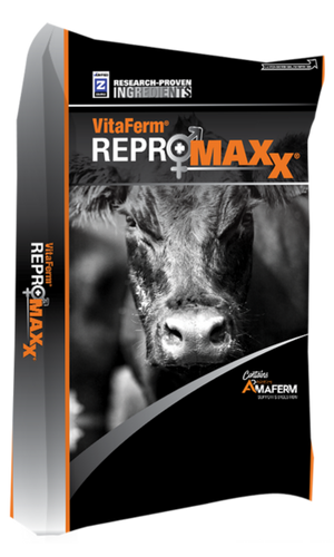 VitaFerm® ReproMaxx